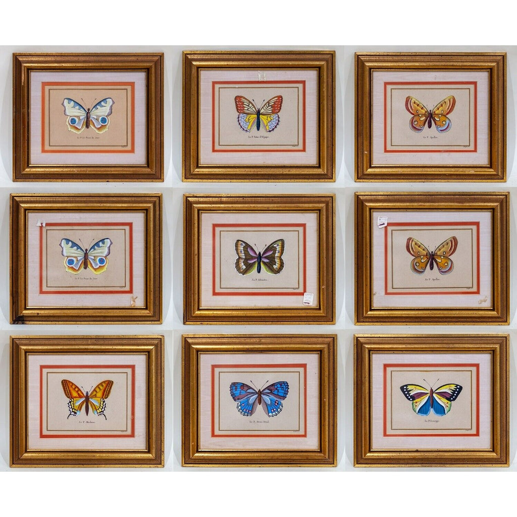 Lot of 9 Pietro Scattaglia Colorized Butterfly Etchings in Frames Gorgeous