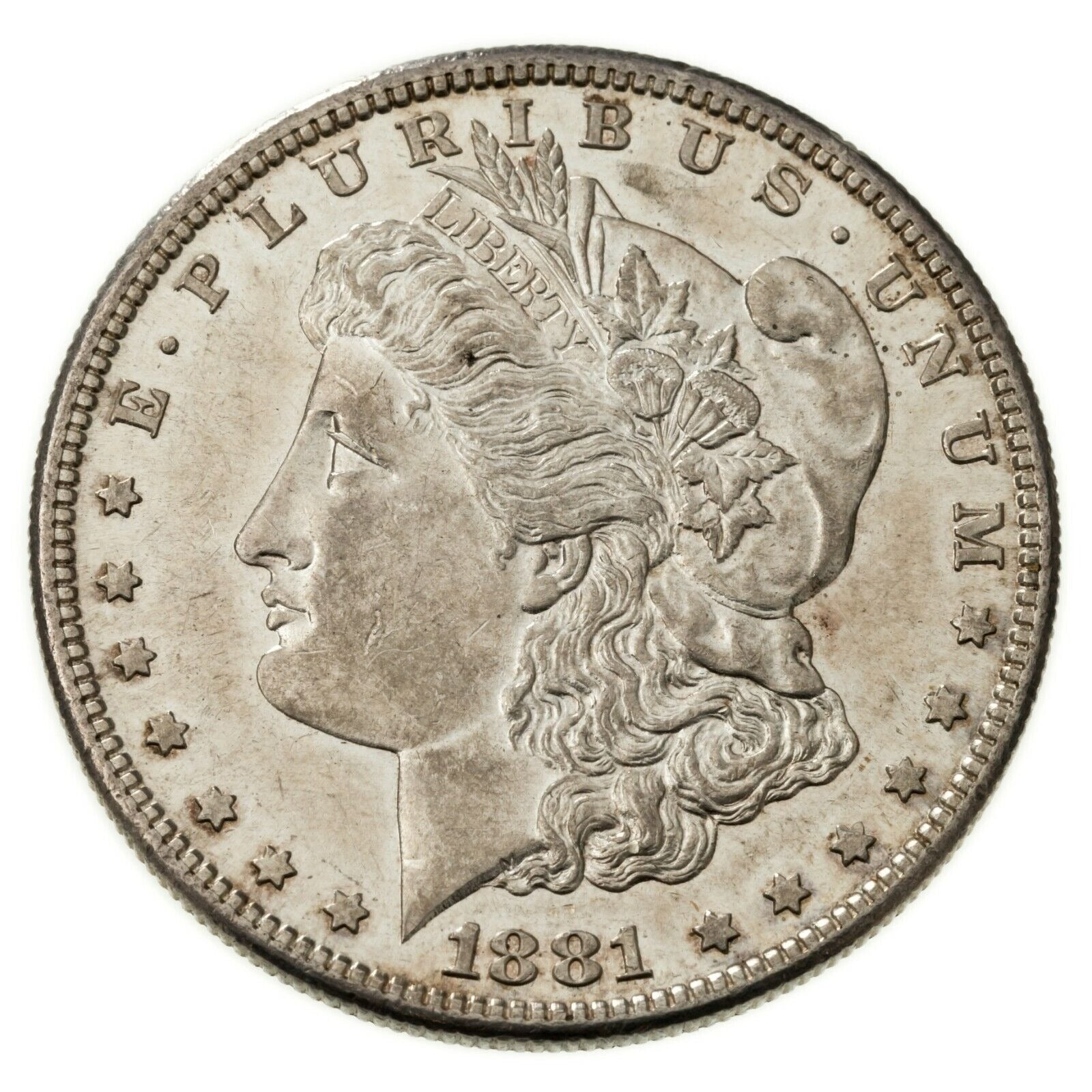 The Prooflike Morgan Silver Dollar