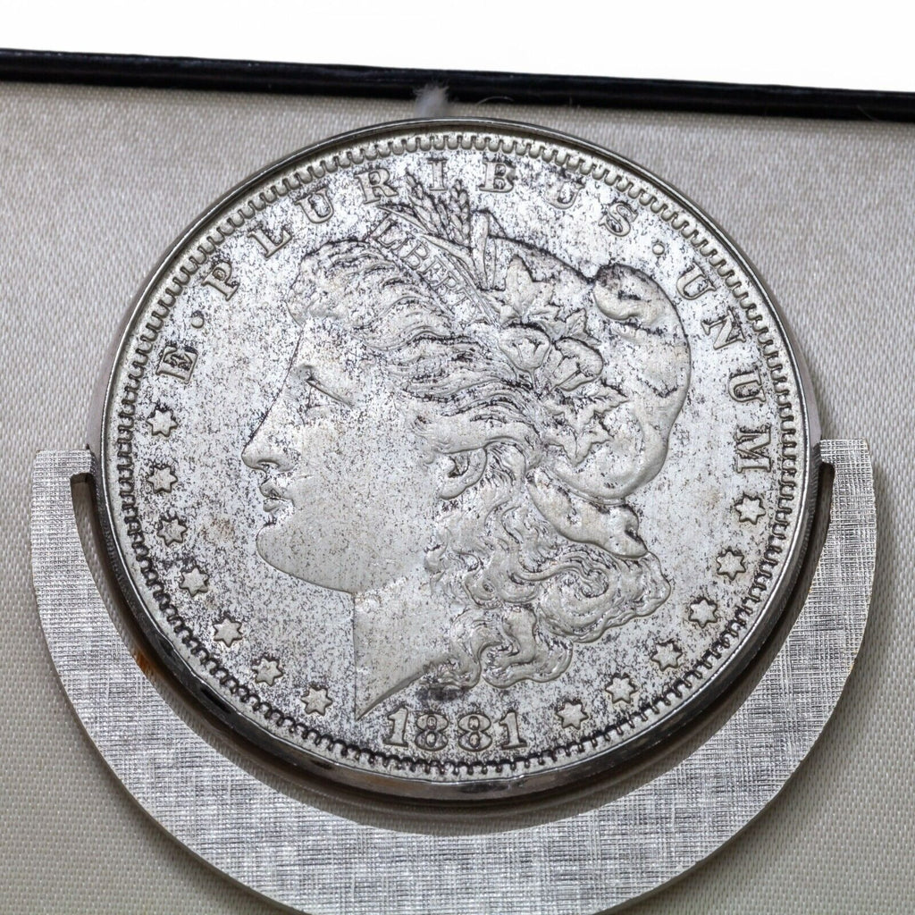 Lucky Buck Steel Keychain w/ Case Including 1881 Silver Morgan Dollar