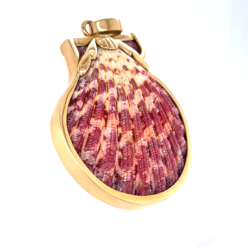 Ivana Cella Pink and White Striped Scallop Shell, Mounted in 18K yellow gold