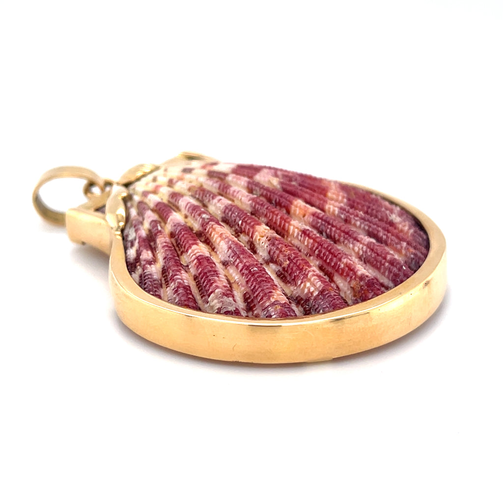 Ivana Cella Pink and White Striped Scallop Shell, Mounted in 18K yellow gold