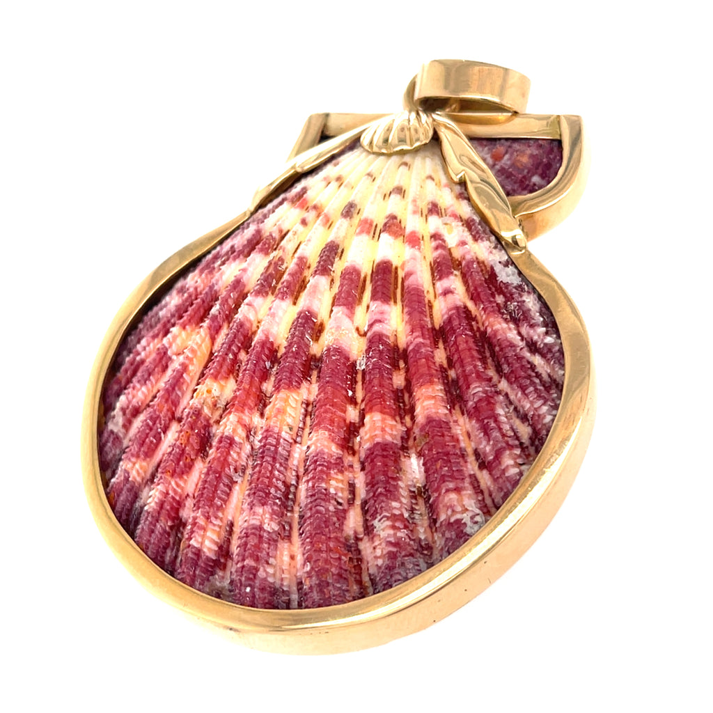 Ivana Cella Pink and White Striped Scallop Shell, Mounted in 18K yellow gold
