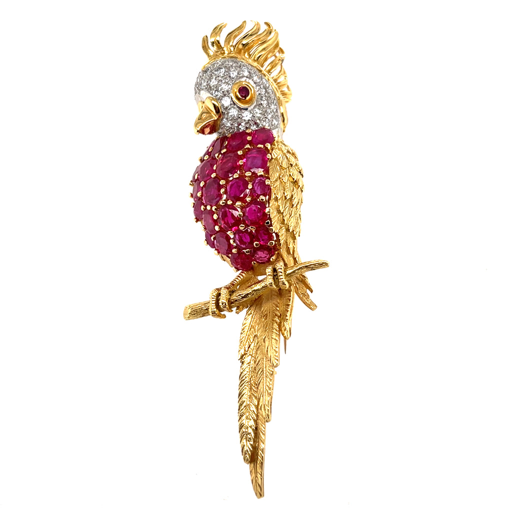 Sannit, Stein & Stein Vintage 18k Gold Cockatoo Brooch w/ 5.25ct Ruby, 0.65ct Diamond