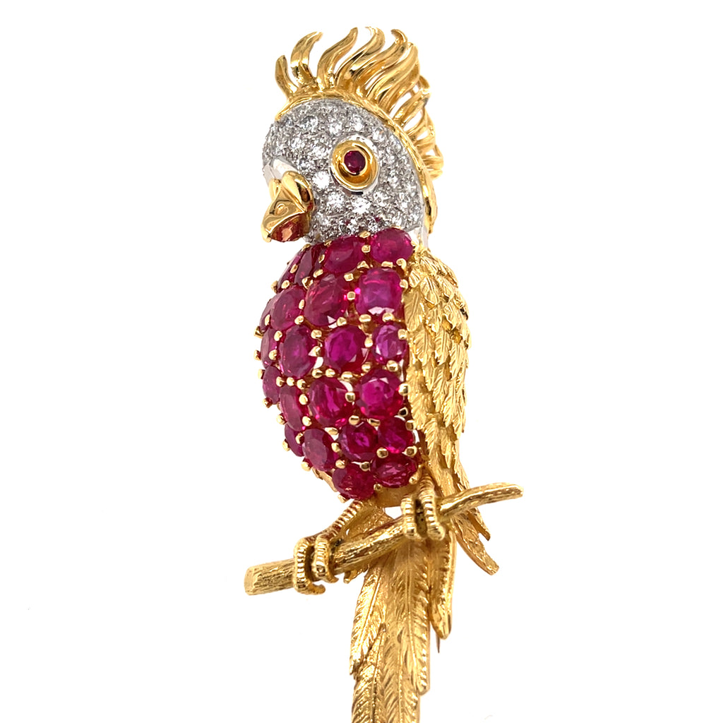 Sannit, Stein & Stein Vintage 18k Gold Cockatoo Brooch w/ 5.25ct Ruby, 0.65ct Diamond