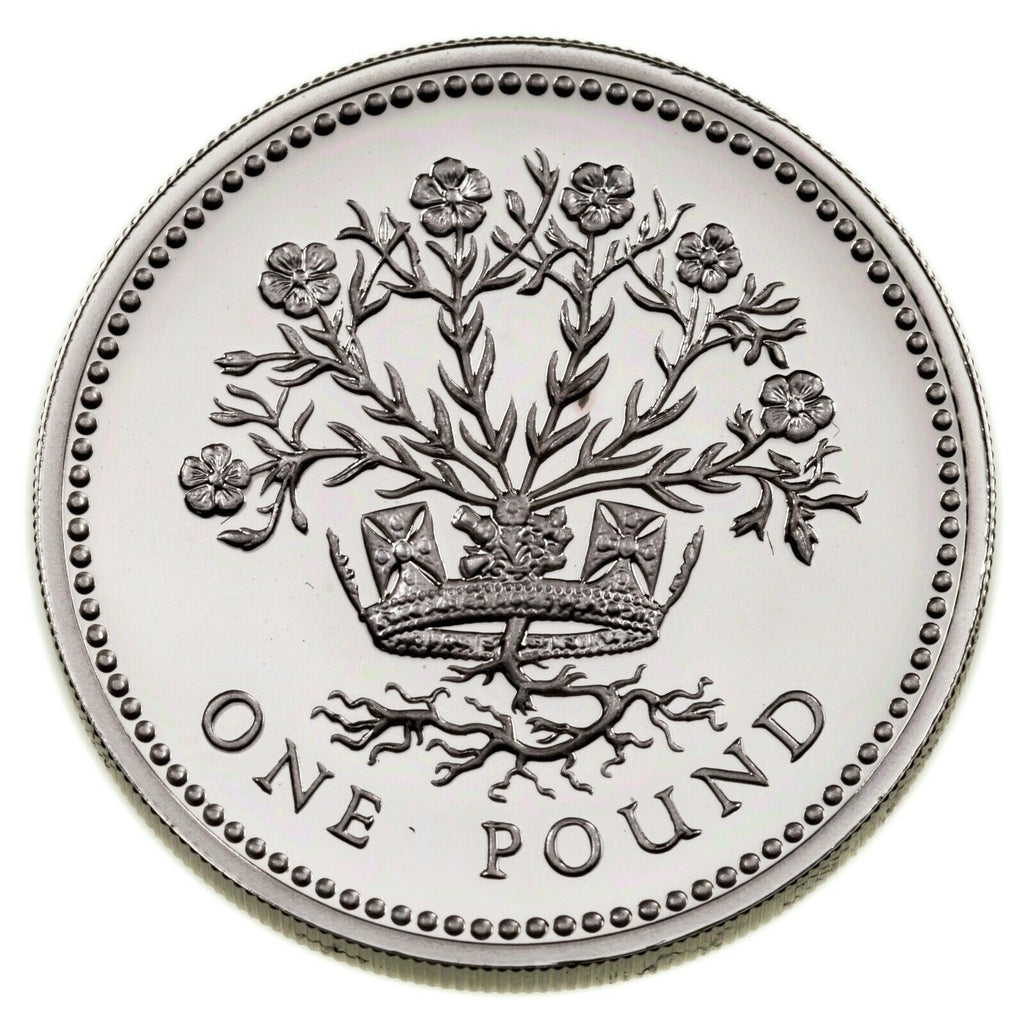 1991-1993 Great Britain 50 Pence & One Pound Silver Proof & Piedfort Coin Lot