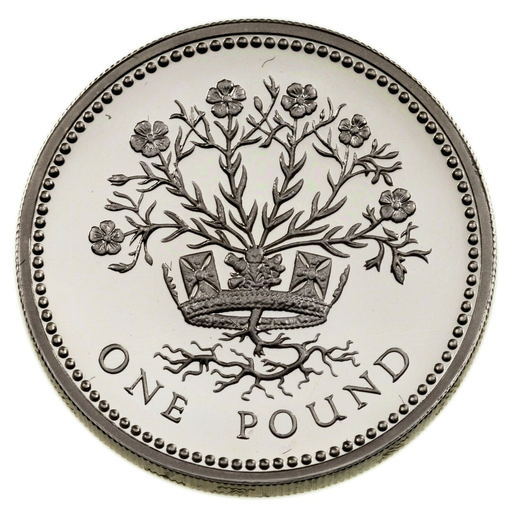 1991-1992 Great Britain 10 Pence & One Pound Silver Proof & Piedfort Coin Lot