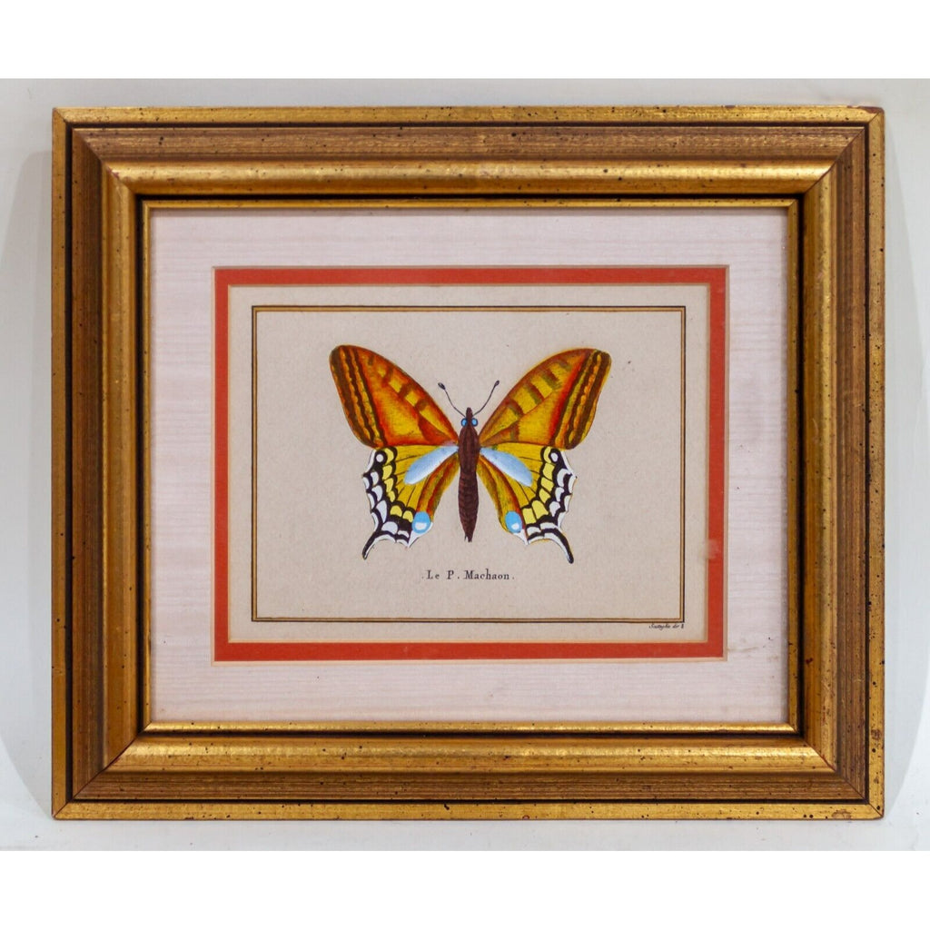 Lot of 9 Pietro Scattaglia Colorized Butterfly Etchings in Frames Gorgeous