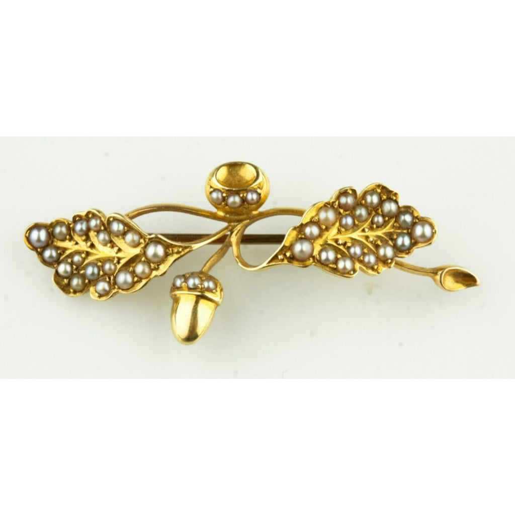 14k Yellow Gold Victorian Oak Blossom Seed Pearl Brooch Gorgeous!