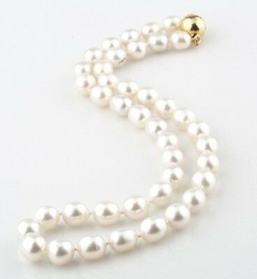 South Sea Pearl 19 inch 9.5mm - 11mm White Strand 14k Yellow Gold Closure