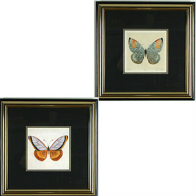 Lot of (2) Butterfly Lithographs by Dan Mitra Signed Limited Edition #3/400