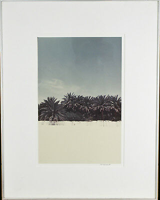 Untitled (Palm Trees) Signed Photograph By Chet d'Autremont Framed 21 1/2"x17"