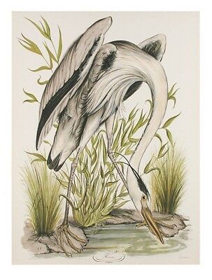 "Heron" by Jerome Trolliet Lithograph on Paper Penn Prints 1974 26" x 20"