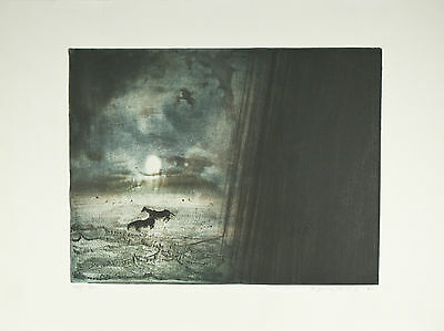 "Monsoon" by Kaiko Moti Signed Ltd Edition #42/120 Etching 22"x30"