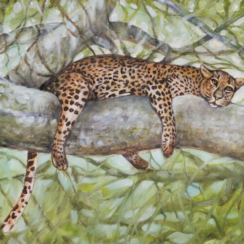 "Nap Time" (Cheetah Resting in Tree) By Anthony Sidoni Oil Painting 14"x17"