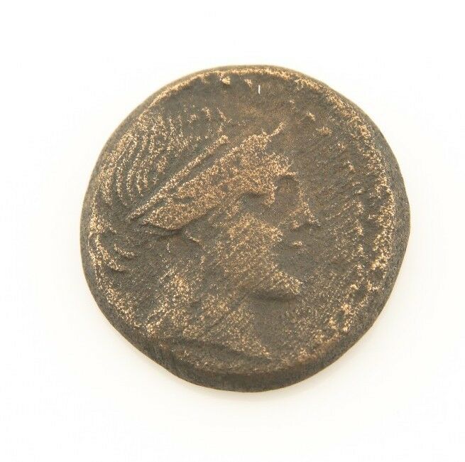300-200 BC Greek AE20 Coin VF Aeolis Amazon Kyme Cyme horse Sear#4192 L&K#396