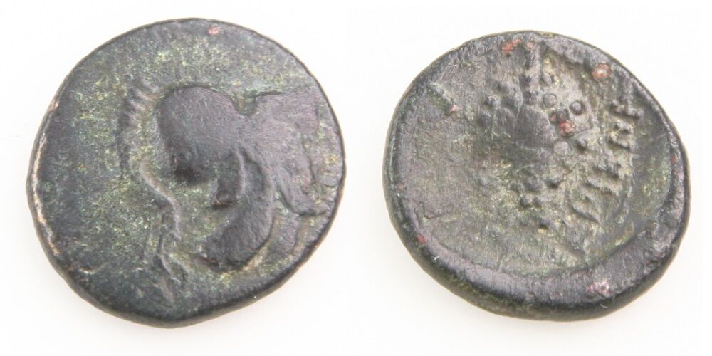 338-300 BC Lokris Opuntia AE14 Greek Coin Athena Grape Cluster SngCOP-68