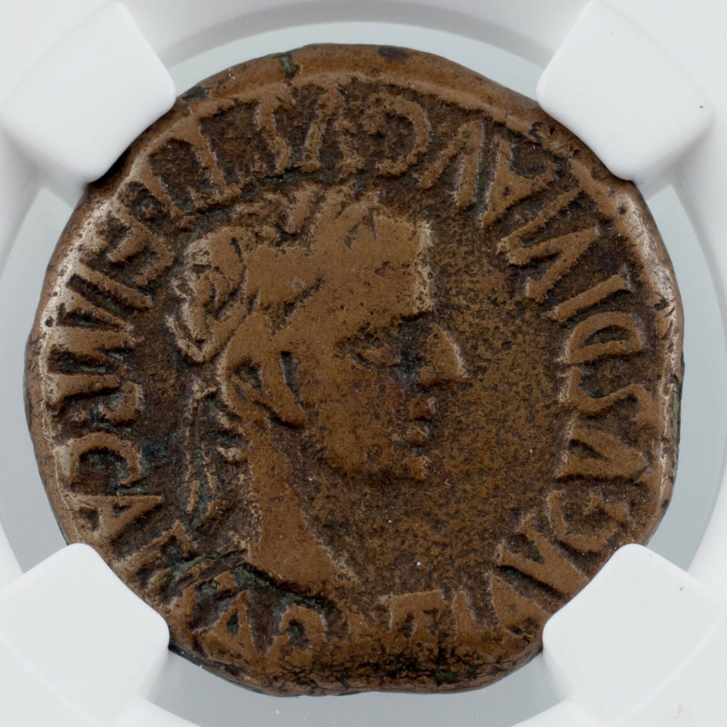 Spain, Calagurris AE 26 Tiberius (14 - 37 AD) Graded by NGC as Choice Fine