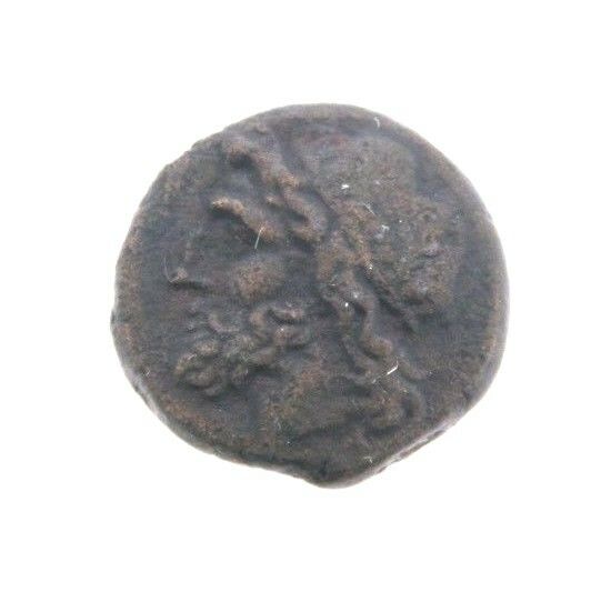 275-215 BC Syracuse Sicily AE20 Coin Hieron II Poseidon Trident Dolphins Greek