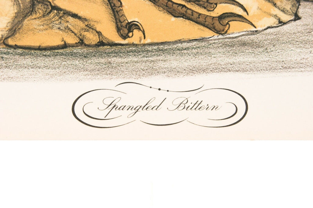 "Spangled Bittern" by Jerome Trolliet Lithograph on Paper Penn Prints 1973 26x20