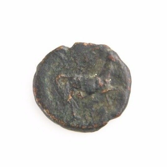 187-31 BC Macedonia AE17 Coin (VF) Athena Horse Thessalonica Lingren-1169