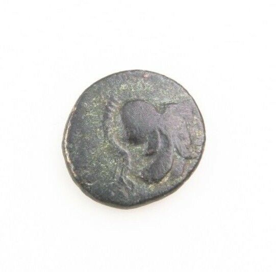 338-300 BC Lokris Opuntia AE14 Greek Coin Athena Grape Cluster SngCOP-68
