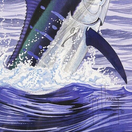 Guy Harvey Lot of 2 Framed Watercolor Marlin Paintings, Signed in Ink, 19" x 14"
