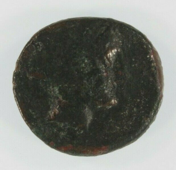 Ancient Greece Thessalay AE 19mm // Phalanna the Nymph // Very Fine