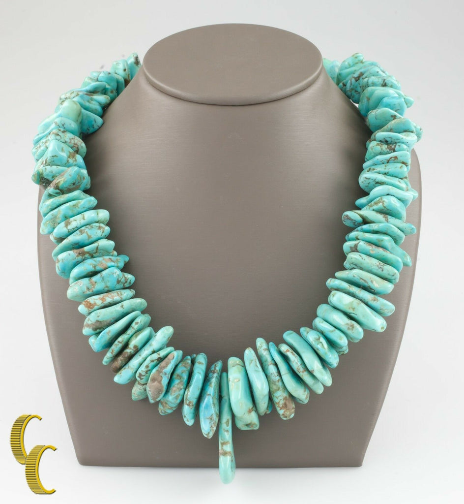 Turquoise & Shell Long Natural Necklace