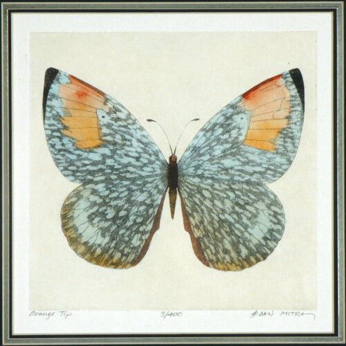 Lot of (2) Butterfly Lithographs by Dan Mitra Signed Limited Edition #3/400