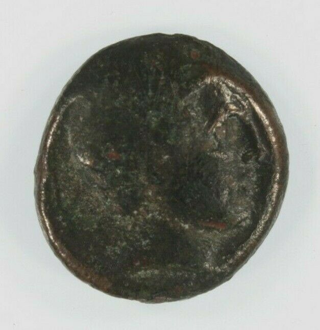 Ancient Greece Thessalay AE 19mm // Phalanna the Nymph // Very Fine