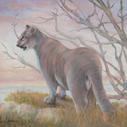 "Puma... Territorial Surveillance" By Anthony Sidoni 2002 Signed Oil Painting