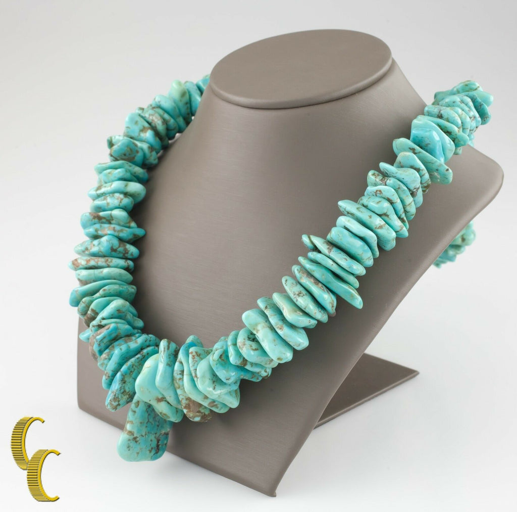 Turquoise & Shell Long Natural Necklace