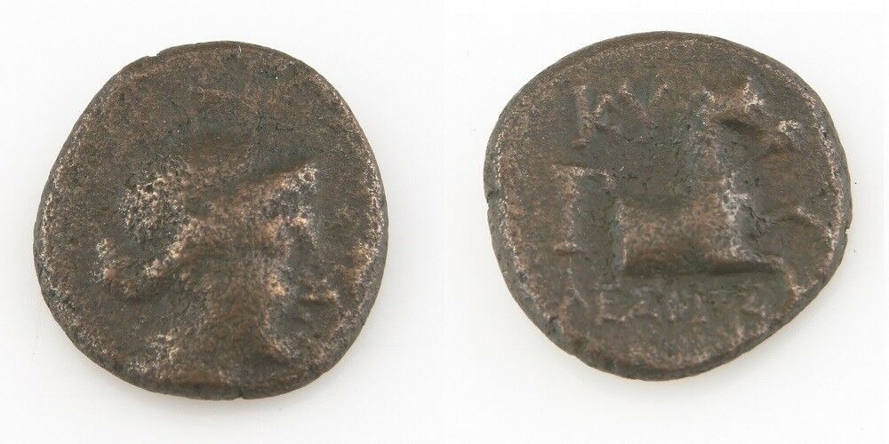 250-200 BC Greek AE14 Coin VF Aeolis Amazon Kyme Cyme Horse S-4189 L&K-394