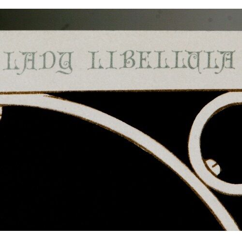 "Lady Libellaula" by Philippe Noyer Ltd Edition of 200 Silkscreen 41 1/2"x28 1/2