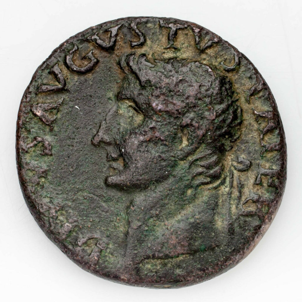 Augustus Posthumus AE Copper AS (34 - 37 AD) Very Fine Condition