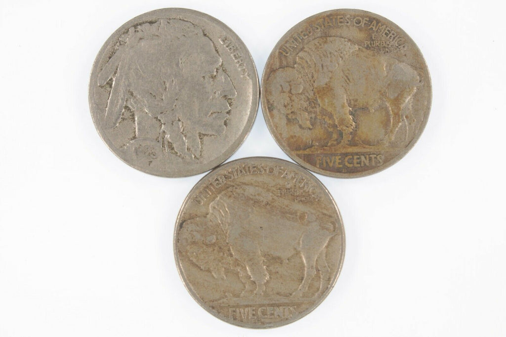 Lot of 3 Buffalo Nickels (1923-S, 1928-D and S) in Fine to VF Condition