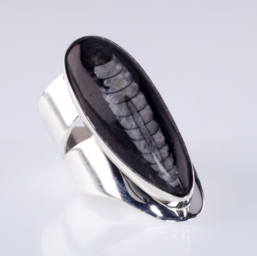 Orthoceras Fossil Sterling Silver Long Sculptural Ring Size 7.25